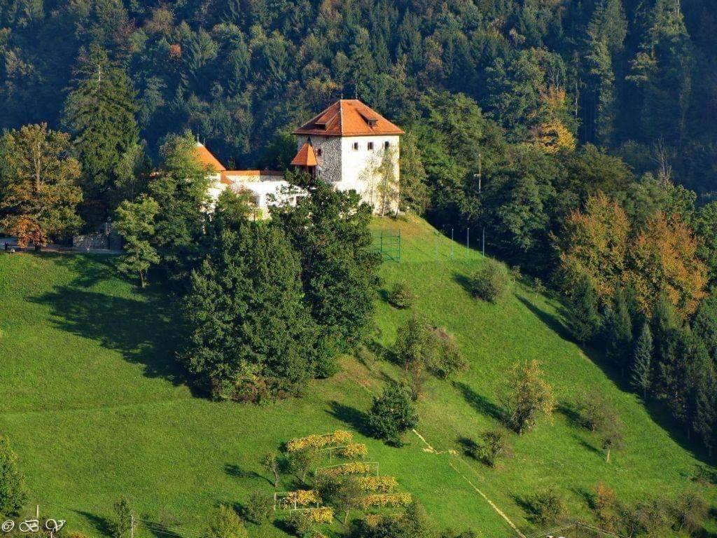 Penzion Park Bed and Breakfast Laško Exterior foto